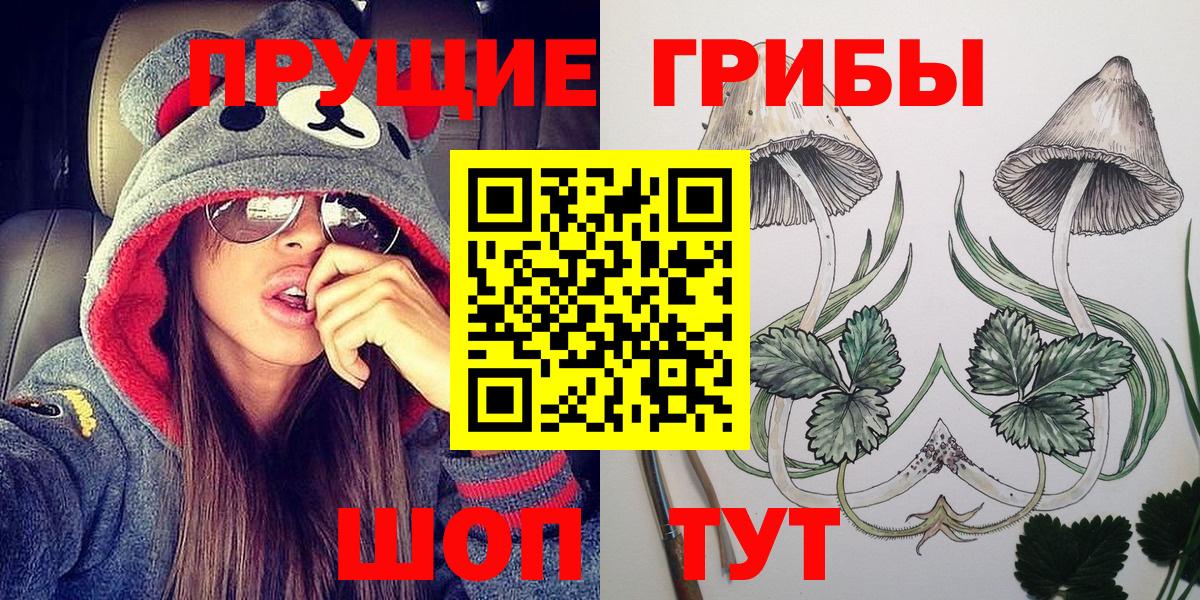 Осинники  Псилоцибиновые грибы MAGIC MUSHROOMS  Вход с VPN 